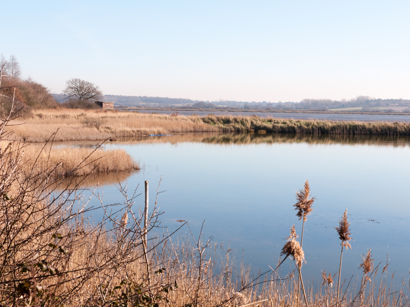 An image depicting the trail Camuplodunum Loop from Horkesley Heath and its surrounding area.