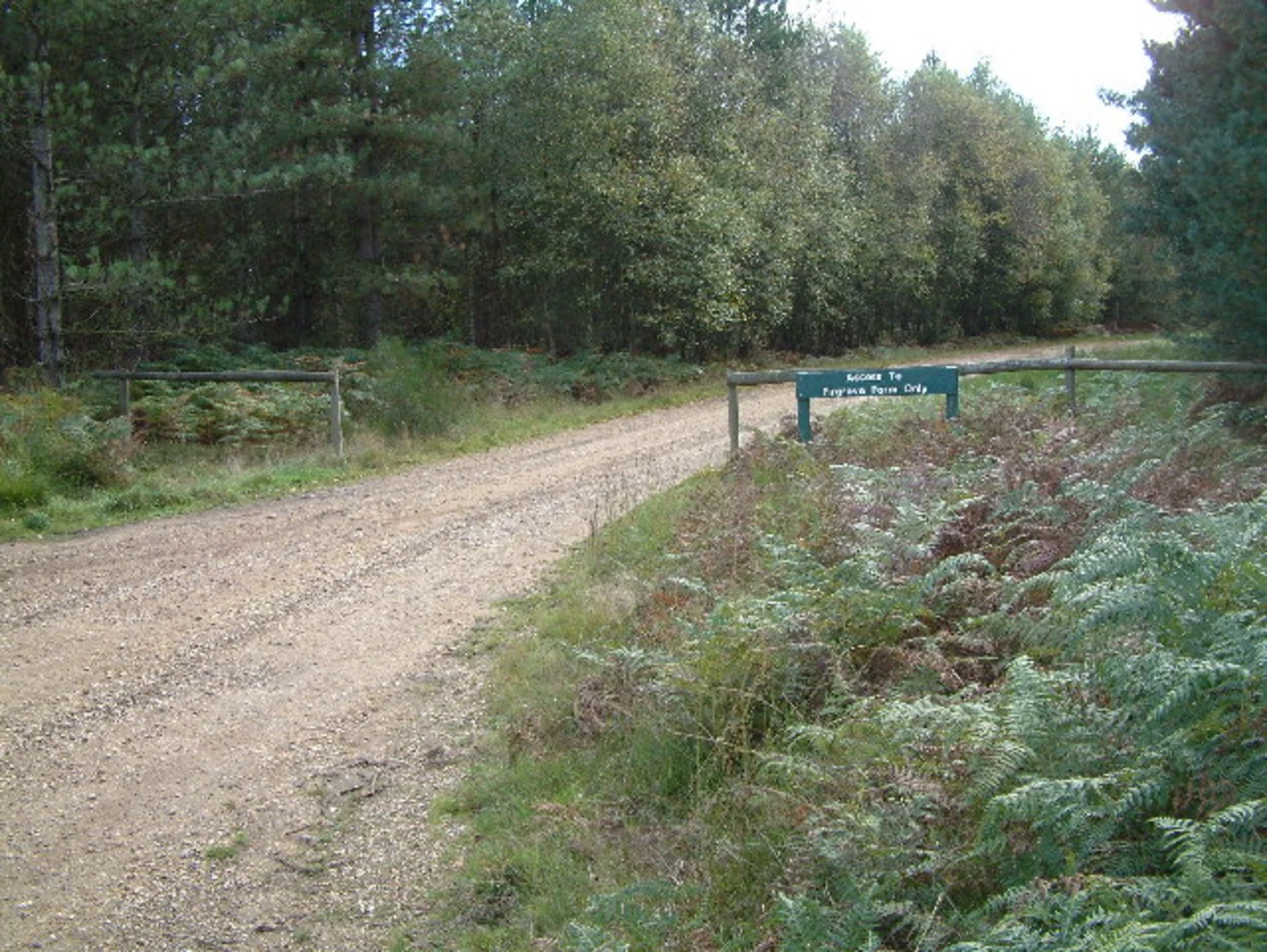 An image depicting the trail Barnsfield Heath Walk and its surrounding area.