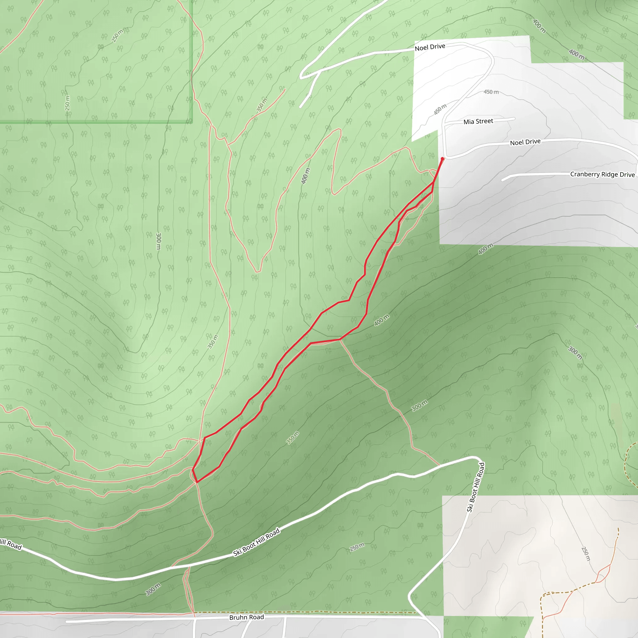 Mia Street Loop - South mobile static map