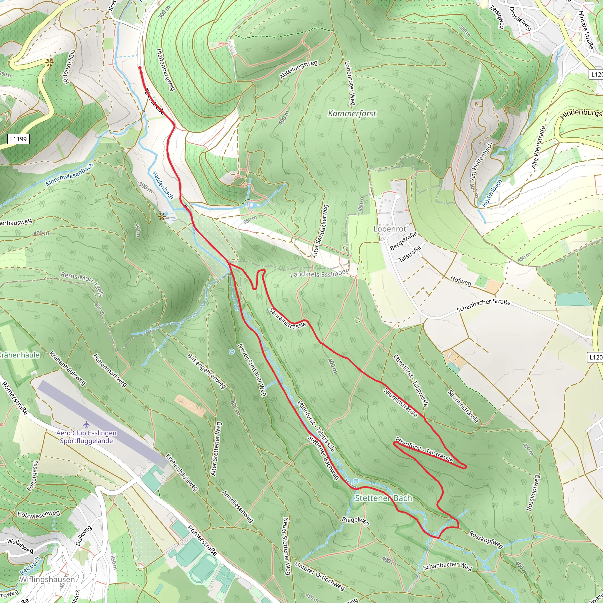 Stettener Bachweg and Saurainsträssle Loop mobile static map