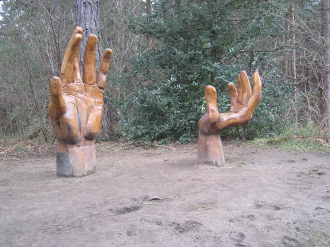 Chopwell Plantations Loop