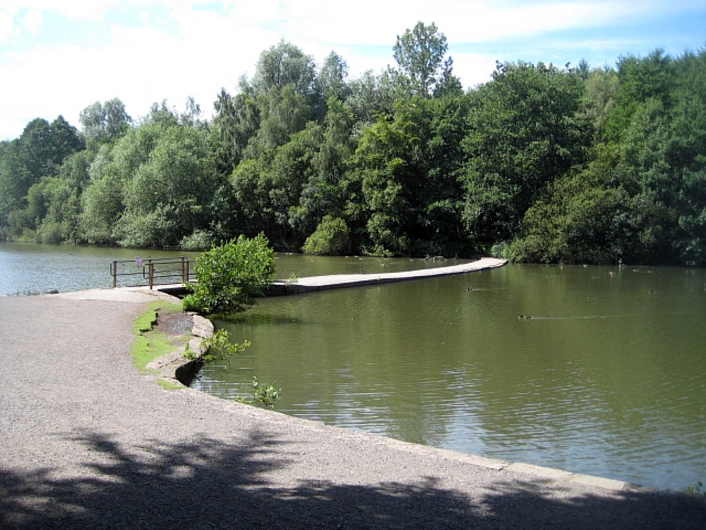 An image depicting the trail Newmillerdam Country Park Walk and its surrounding area.