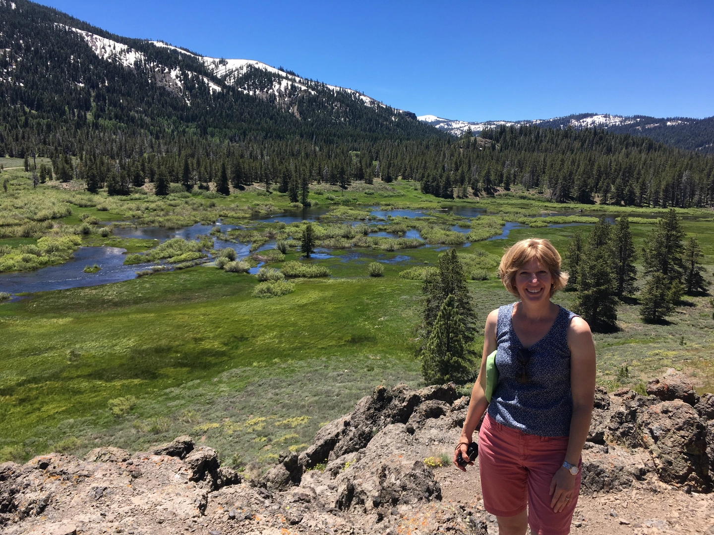 An image depicting the trail Webber Lake Road and its surrounding area.