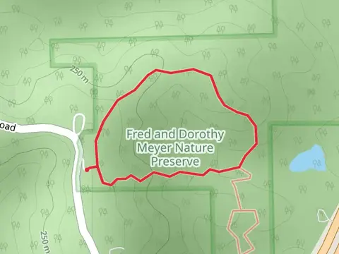 Observatory Road Loop