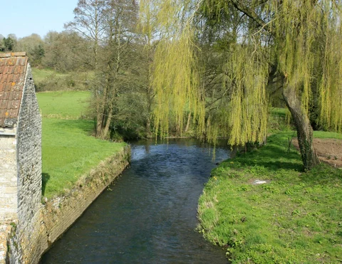 An image depicting the trail River Chew Loop - Compton Dando and its surrounding area.