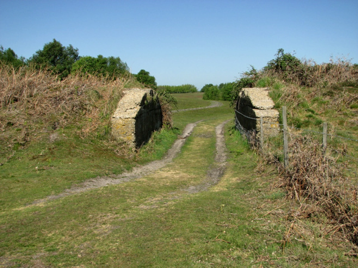 Walberswick Common, Deadman's Covert and Blythburgh Walk