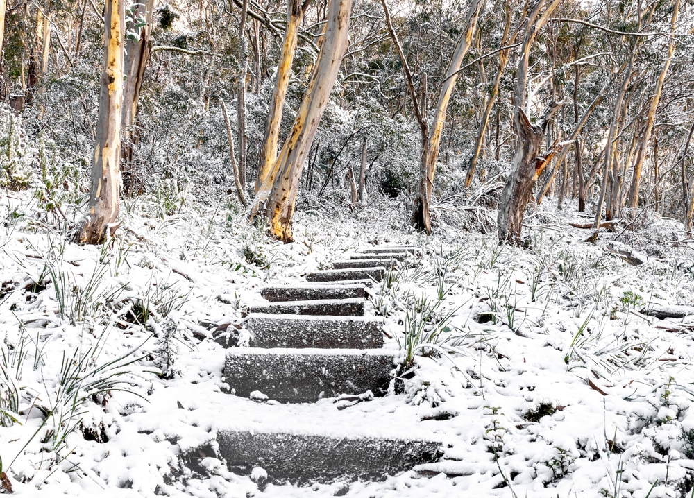 An image depicting the trail Namadgi National Park and its surrounding area.