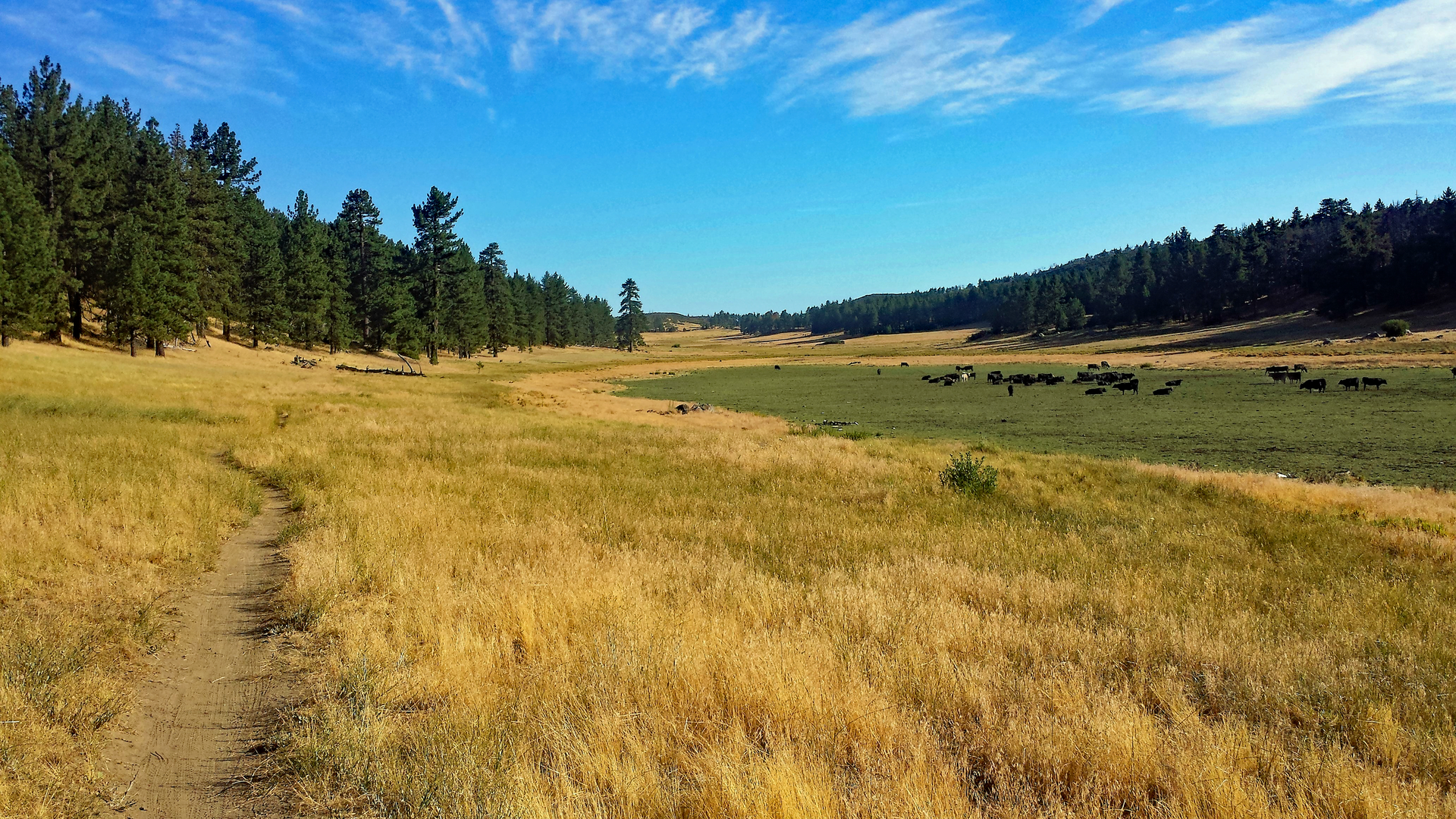 An image depicting the trail Sunset Trail, Big Laguna Lake and Water of the Woods Loop and its surrounding area.