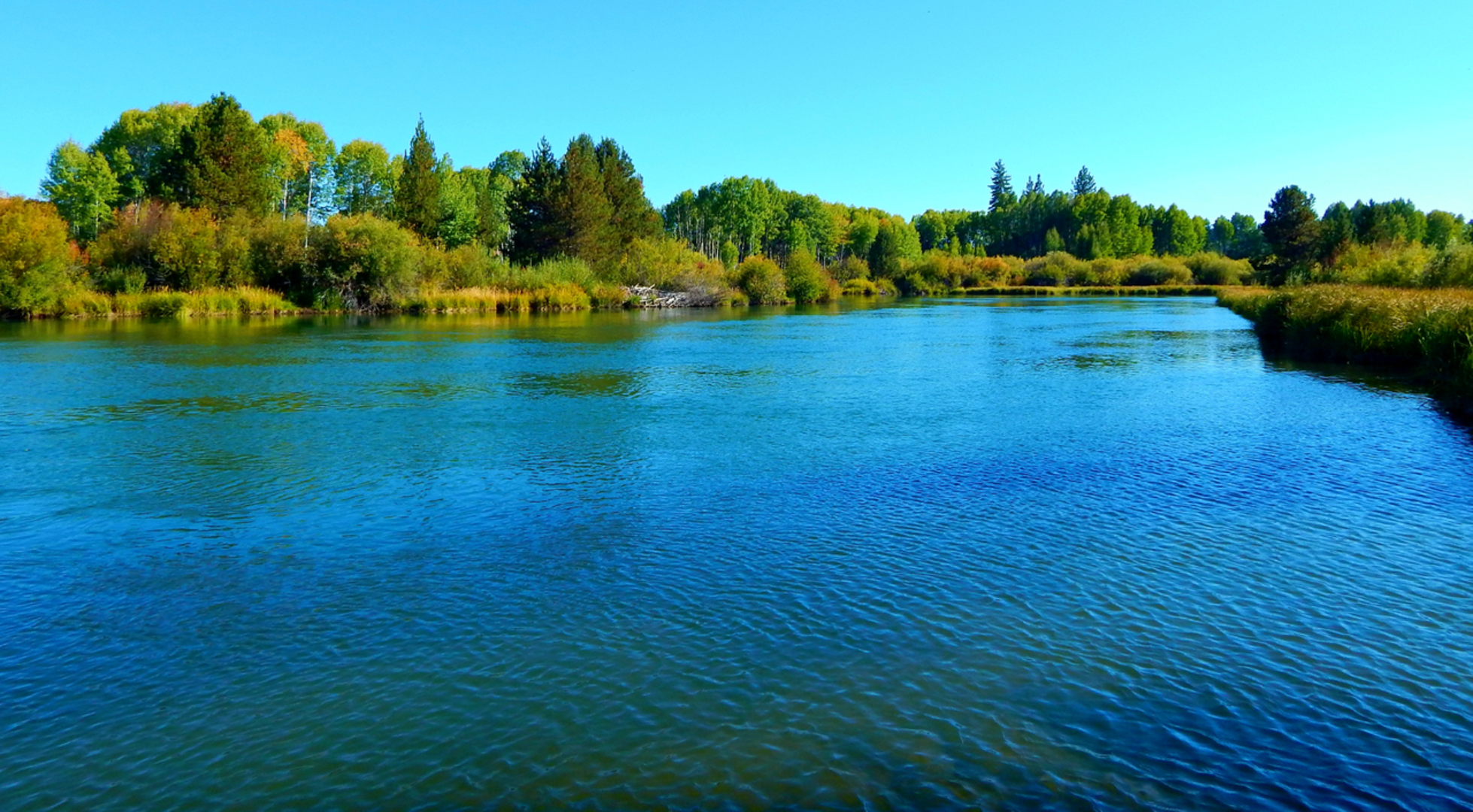 An image depicting the trail Dillion Falls Trail and its surrounding area.