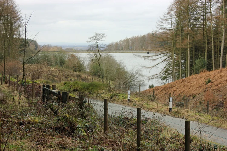 Trentabank Reservoir and Shutlingstoe Loop