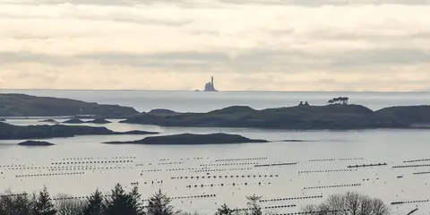 An image depicting the trail Fastnet Trails - Gortyowen Loop and its surrounding area.