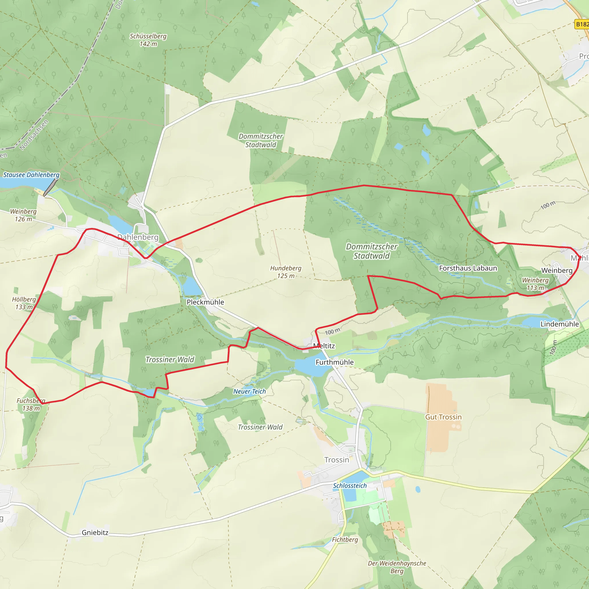 Dommitzscher Stadtwald and Fuchsberg Loop mobile static map