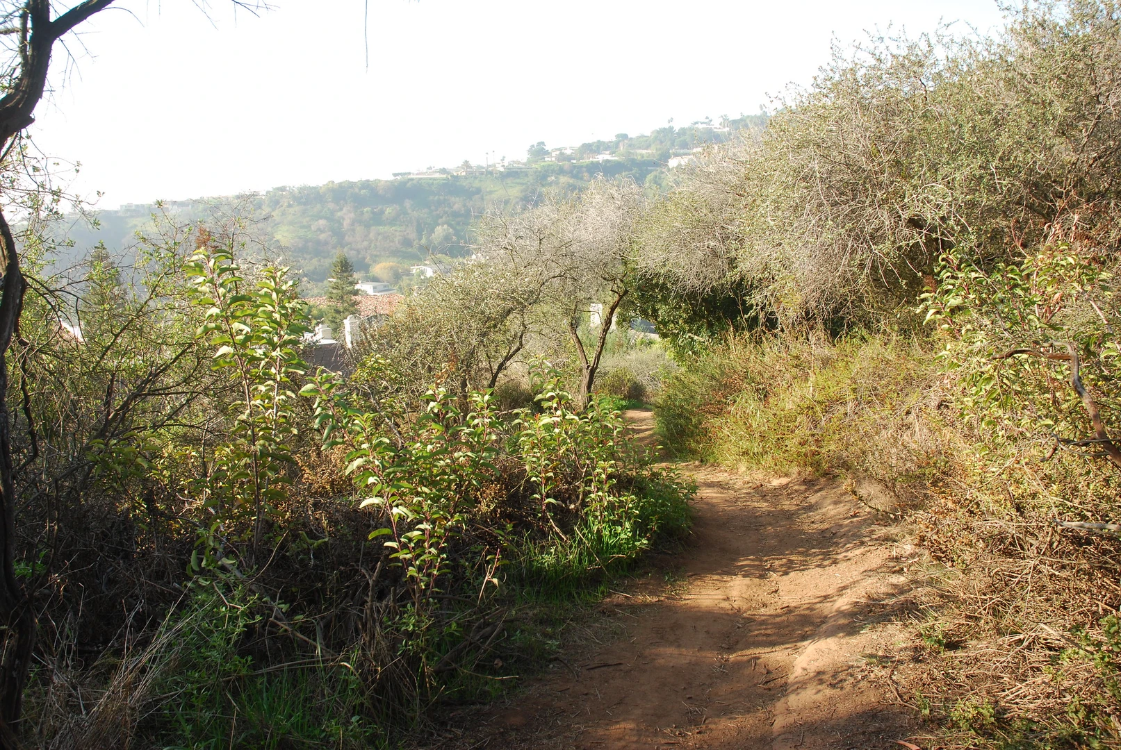 An image depicting the trail Leacock Memorial Trail and its surrounding area.