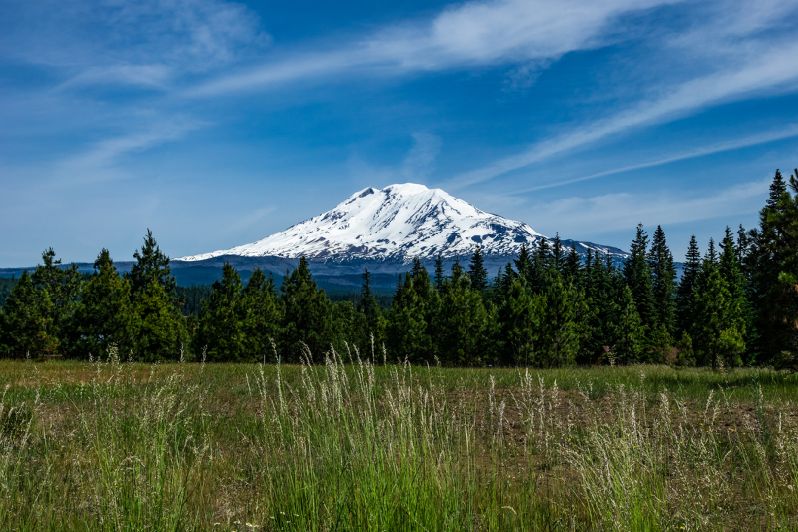 An image depicting the trail Snipes Mountain Trail and its surrounding area.