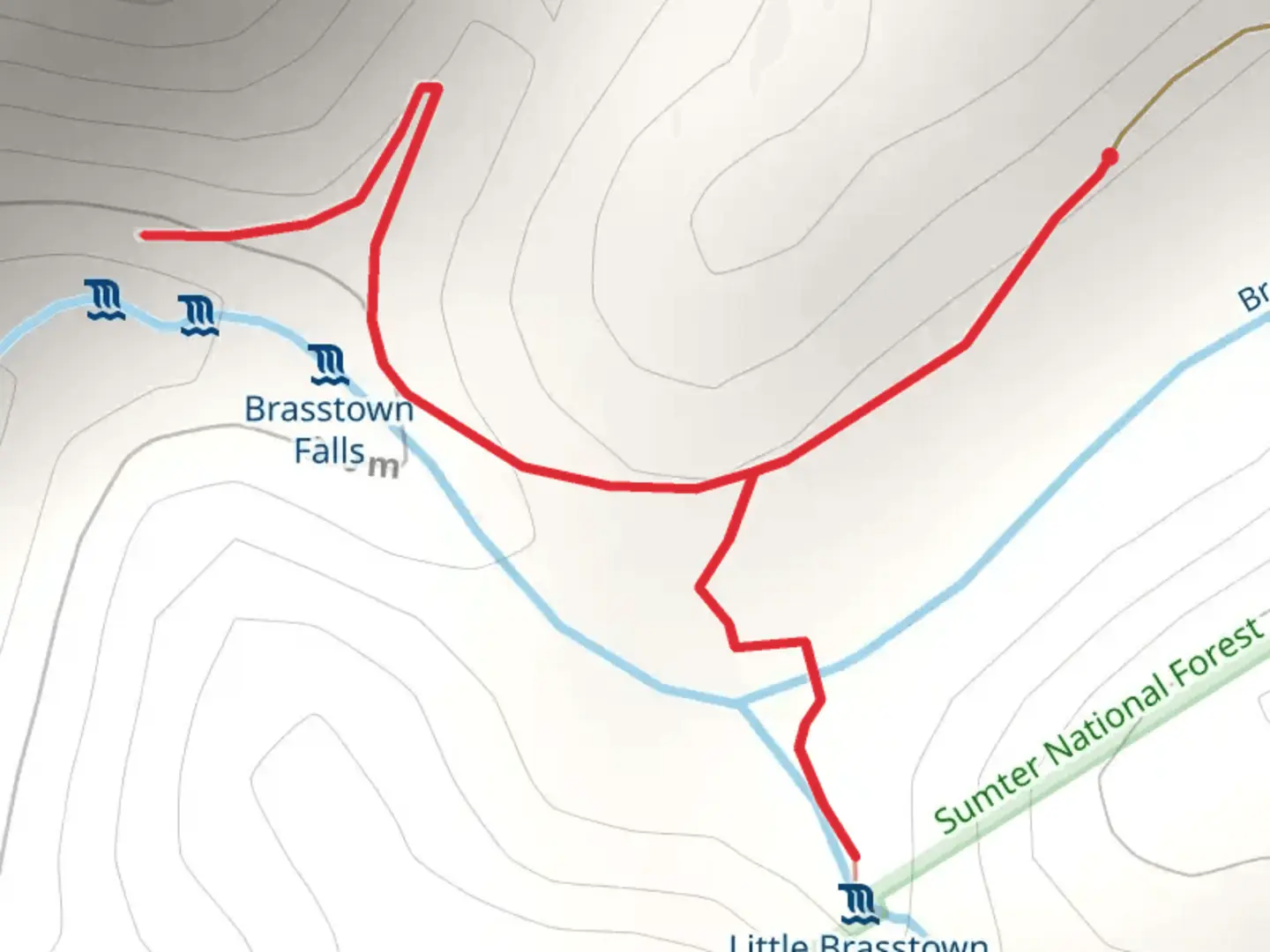 An image depicting the trail Brasstown Creek and its surrounding area.