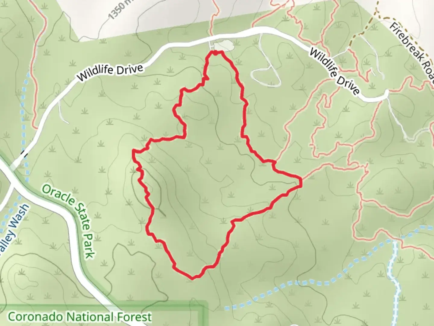 An image depicting the trail Wildlife Drive Loop - South and its surrounding area.