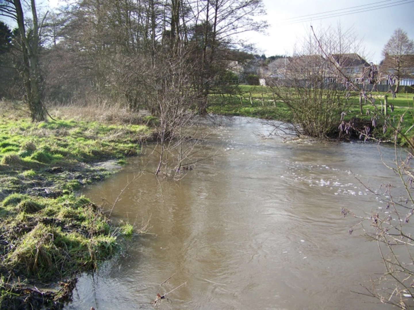 An image depicting the trail Tisbury Loop and its surrounding area.