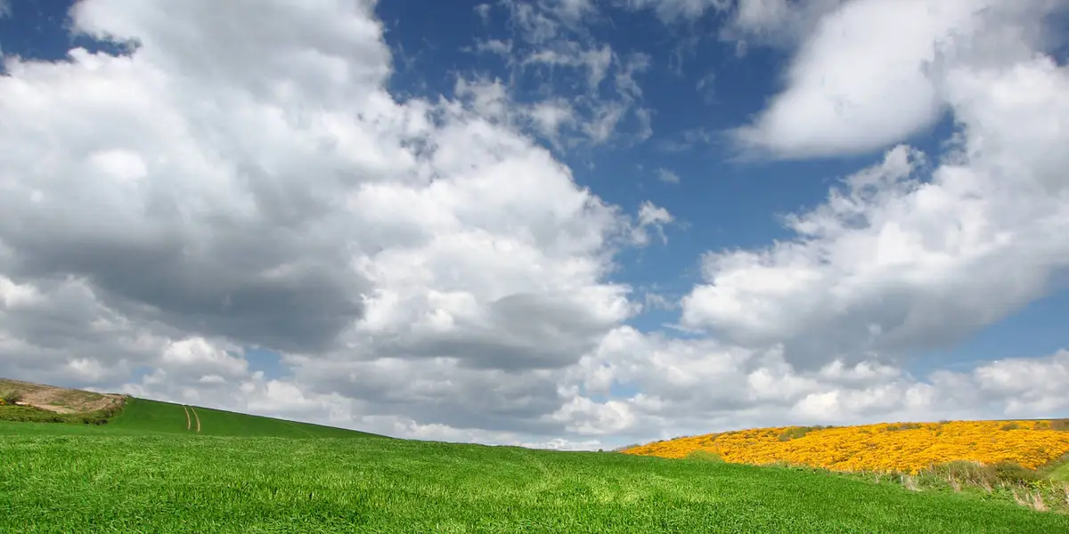 Mullaghareirk - Rowls - Langford Loop