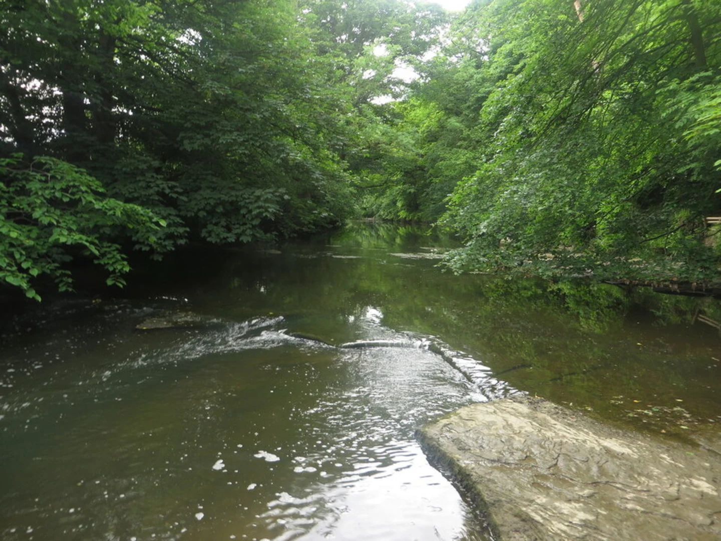 An image depicting the trail Plessey Woods Country Park and its surrounding area.
