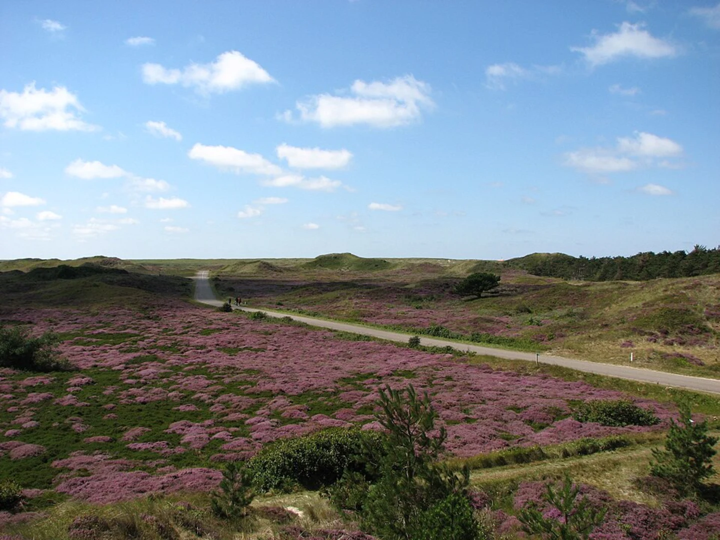 An image depicting the trail Vuurtoren Elerland and De Robbenjager in Duinen Van Texel and its surrounding area.
