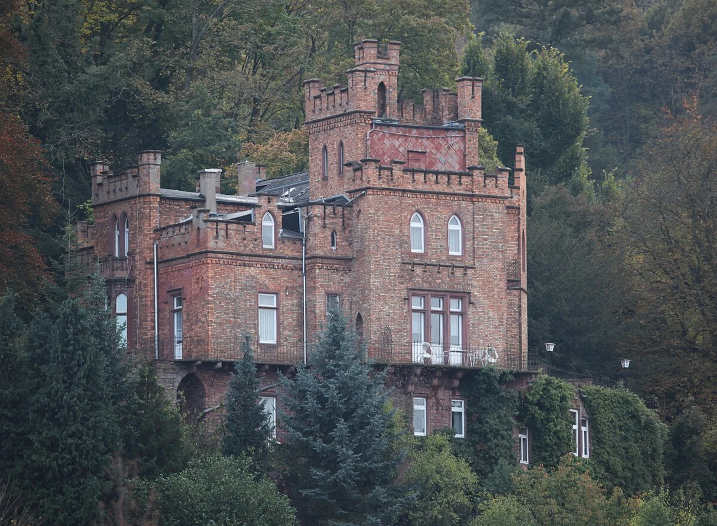 An image depicting the trail Hohe Wart, Solhohe and WEißes Bild Loop and its surrounding area.