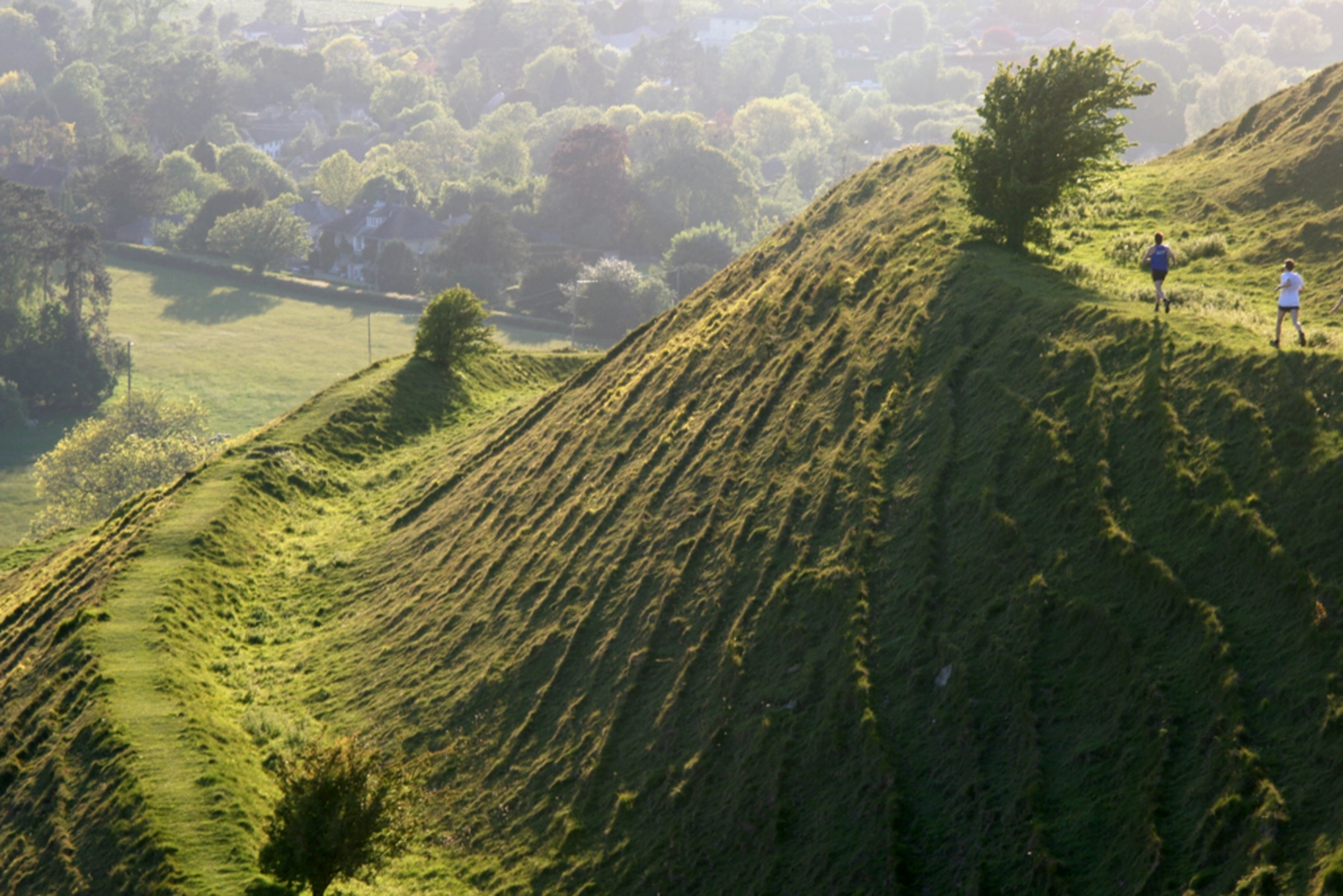 An image depicting the trail Shillinhstone to Tollard Royal via Hambledon Hill and Fontmell Wood and its surrounding area.