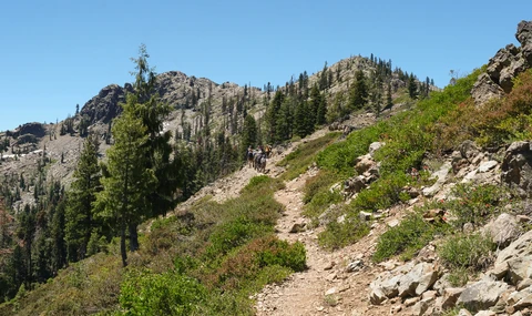 Chipmunk Meadow Trail