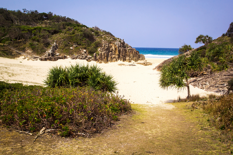 Powder Magazine Track