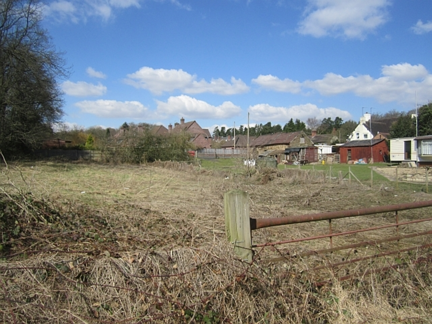 An image depicting the trail Button Oak Loop and its surrounding area.