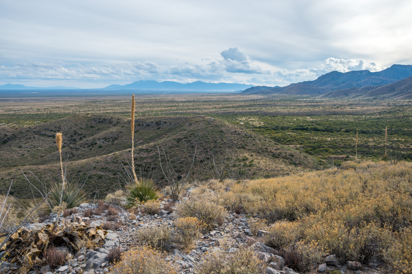 An image depicting the trail Cottonwood Saddle Trail via Guindani Trail and its surrounding area.