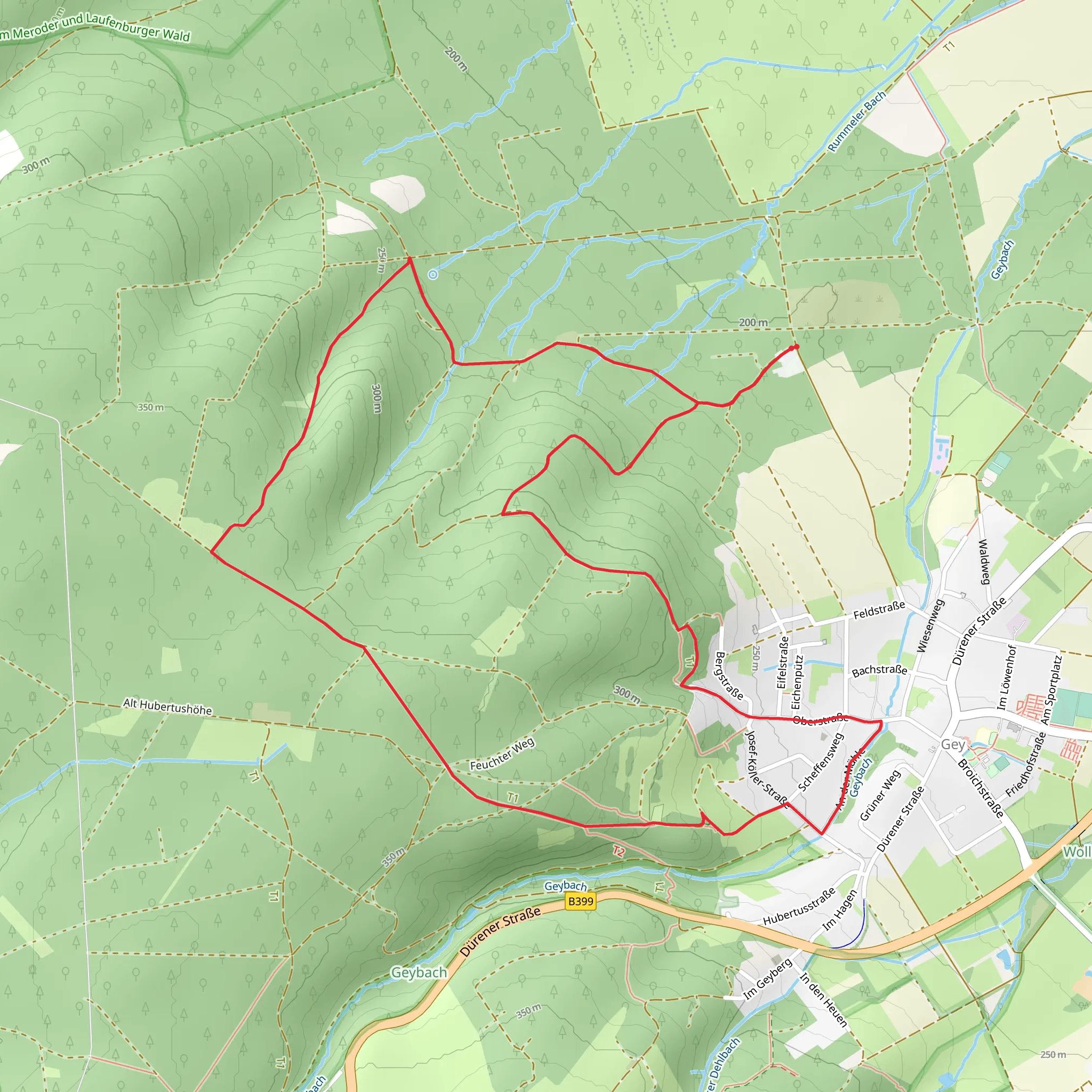 Hochwaldweg Loop mobile static map