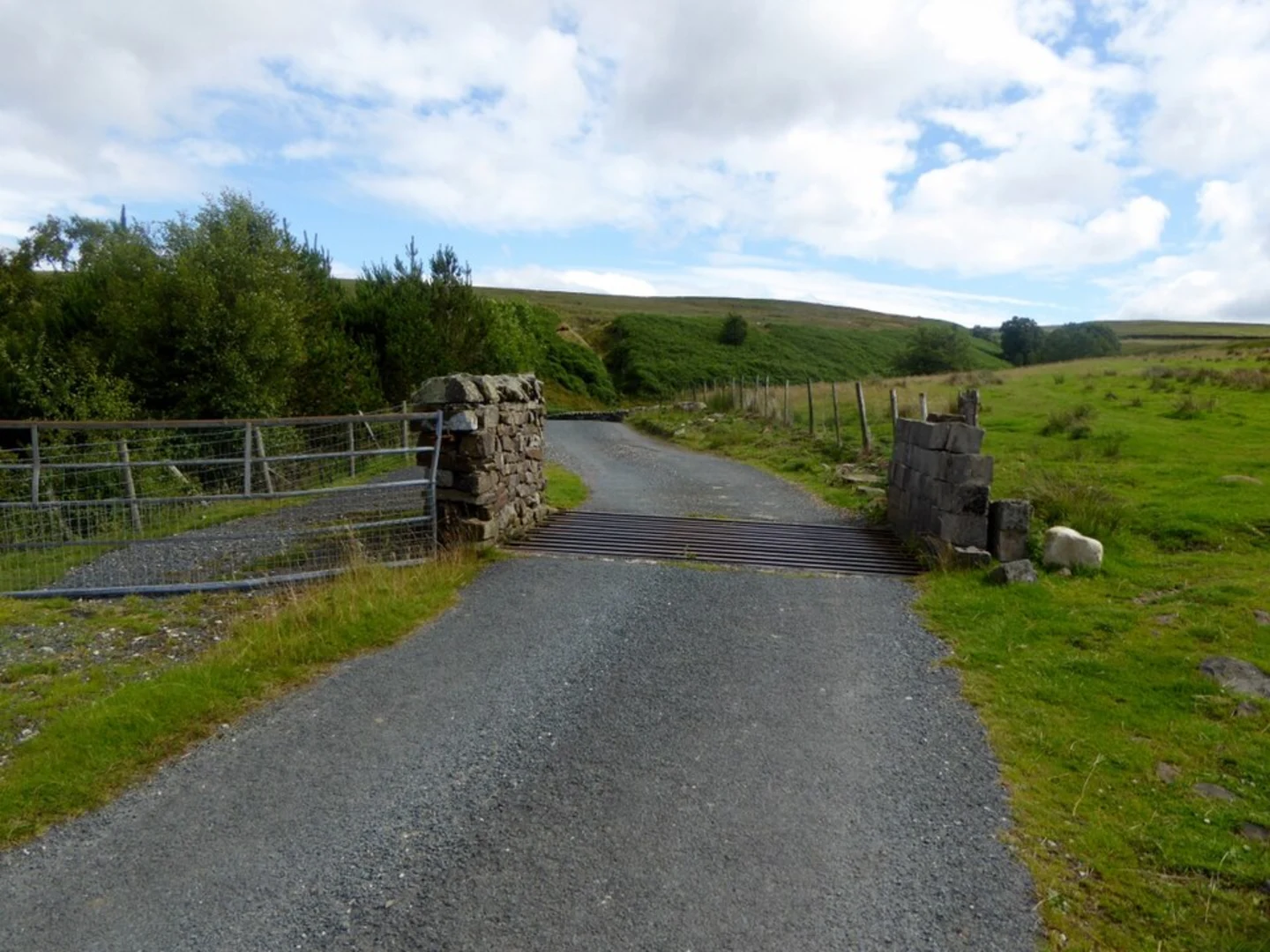 An image depicting the trail Botton Head Loop and its surrounding area.