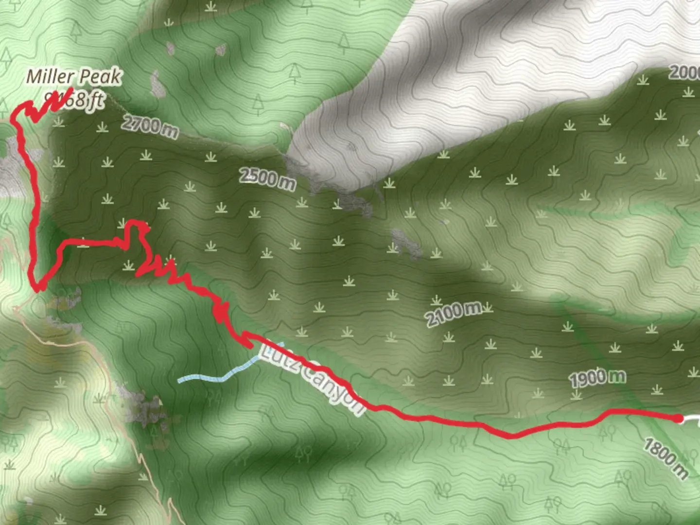 An image depicting the trail Black Bear Spring via Miller Peak Trail and its surrounding area.