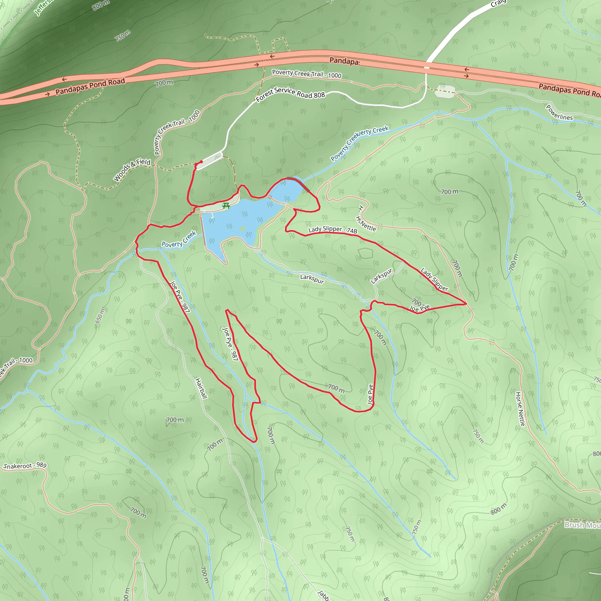 Pandapas Pond, Lady Slipper and Joe Pye Loop mobile static map