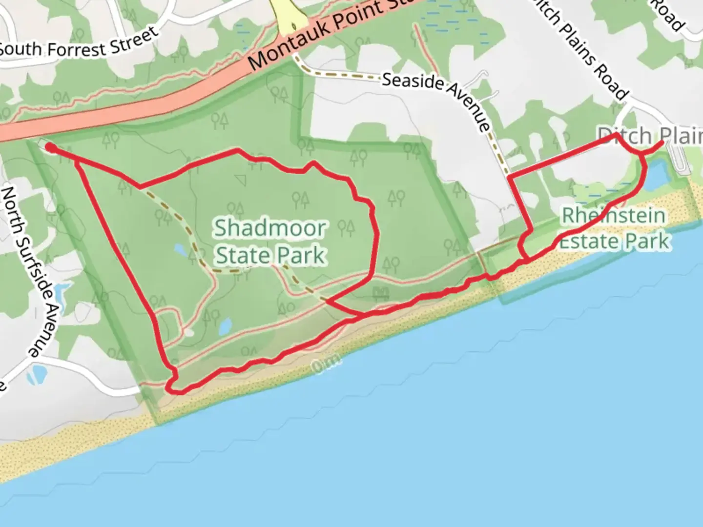 An image depicting the trail Ditch Plains Loop and its surrounding area.