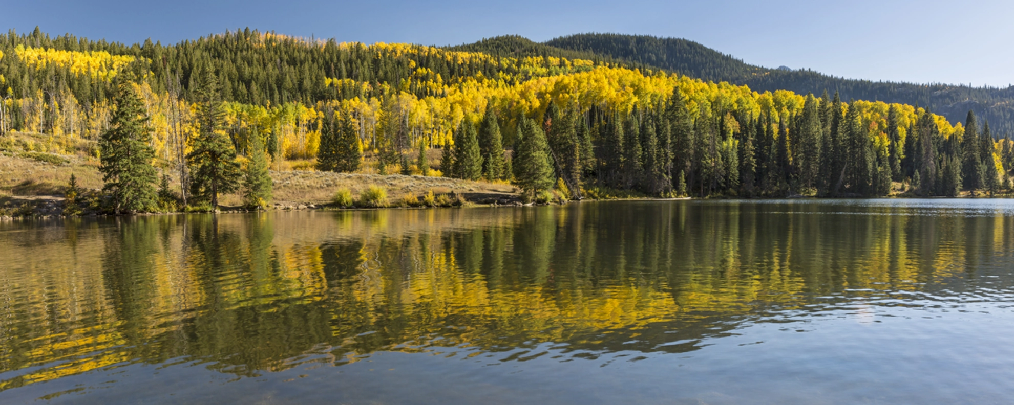 An image depicting the trail Lower Cataract Lake Loop Trail and its surrounding area.