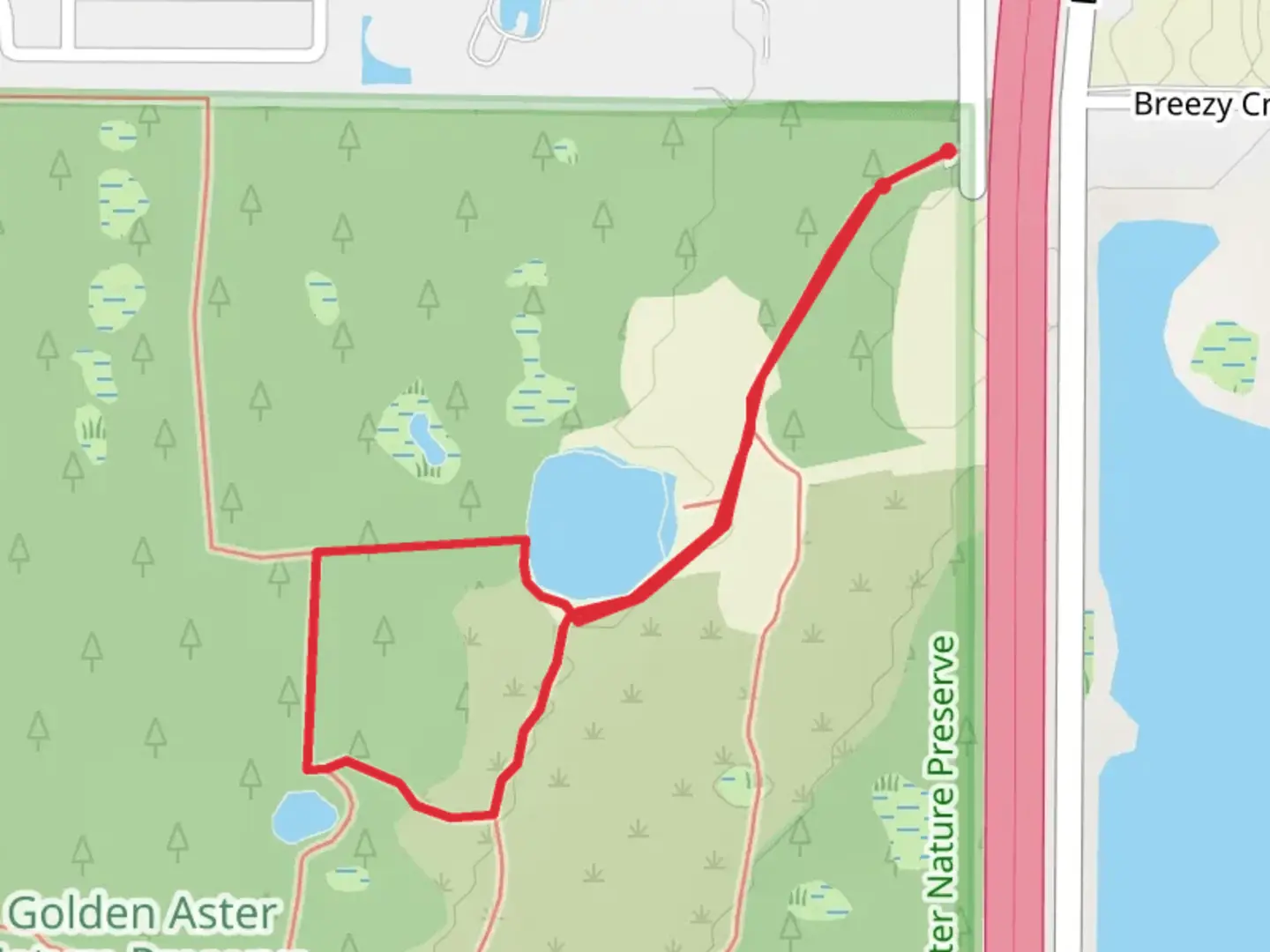 An image depicting the trail Golden Aster Scrub Nature Preserve Hiking Loop Trail and its surrounding area.