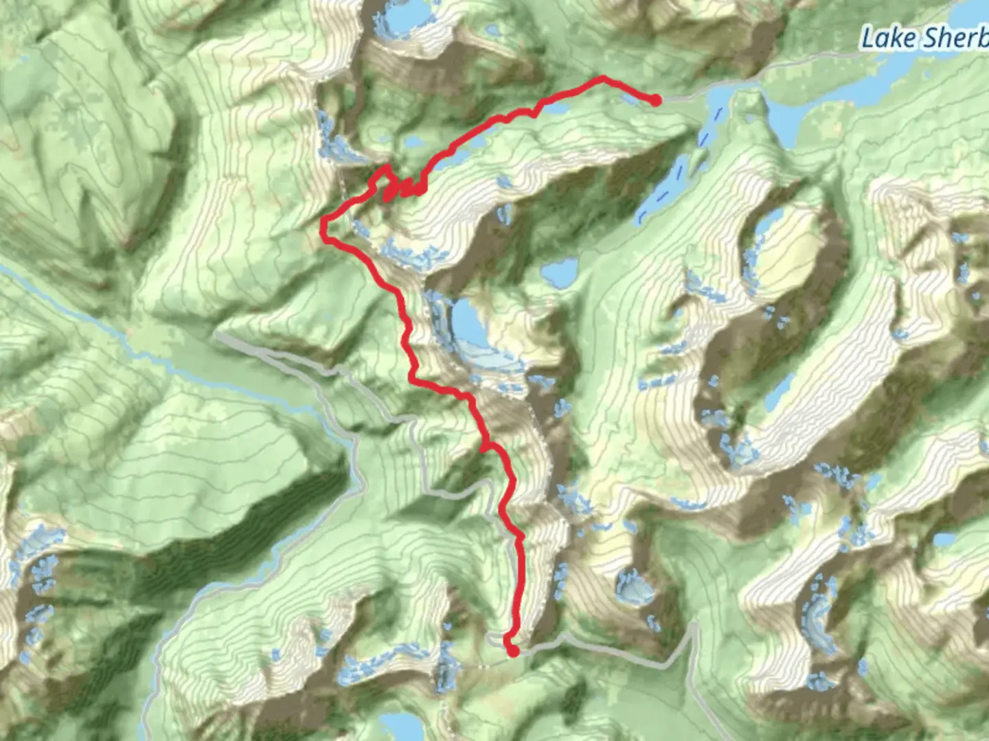 An image depicting the trail Highline and Continental Divide Trail from Logan Pass and its surrounding area.