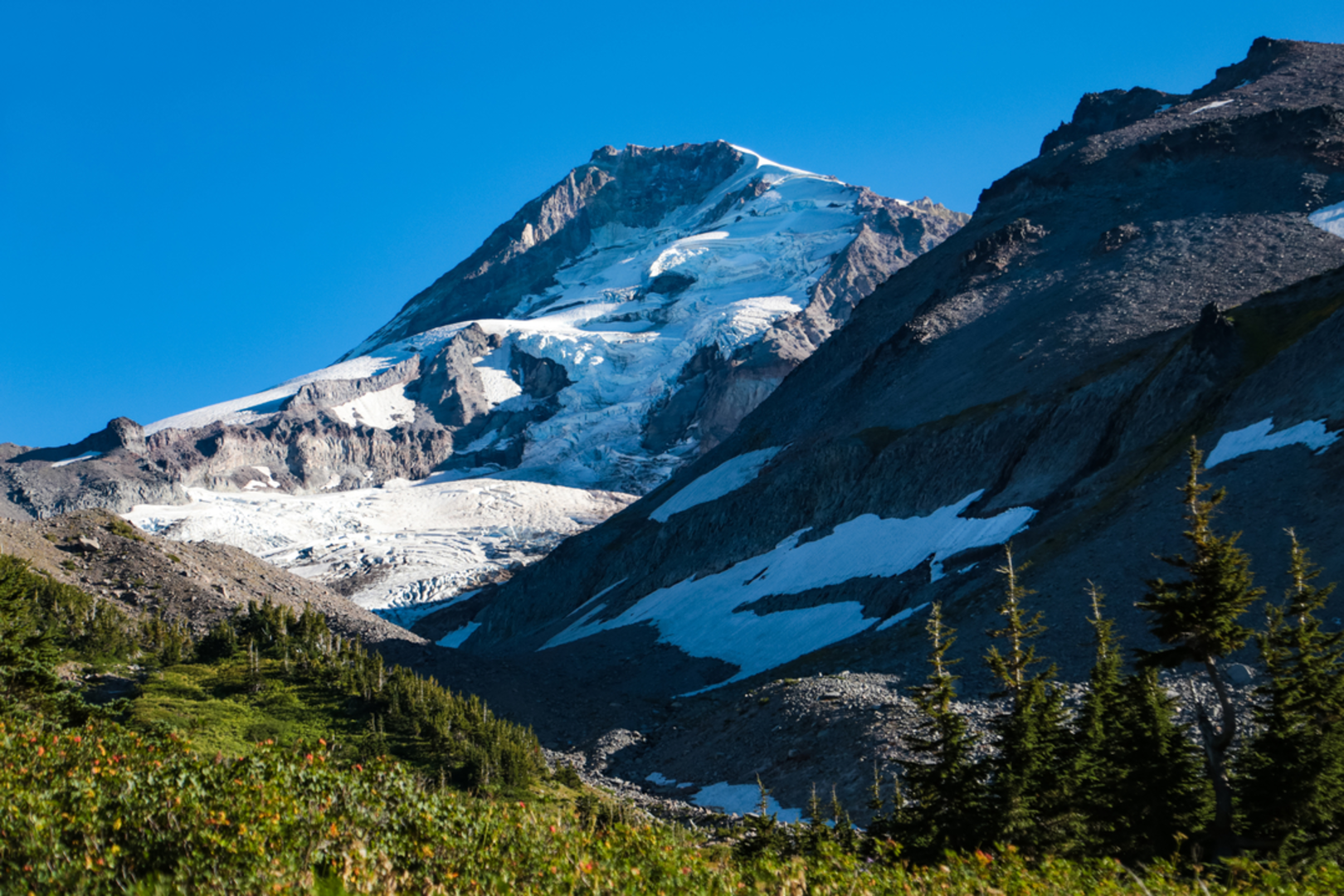 An image depicting the trail Elk Cove Trail and its surrounding area.