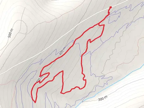 Inner Loop from Ester Dome Road