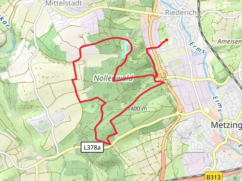 Nollenwald Loop