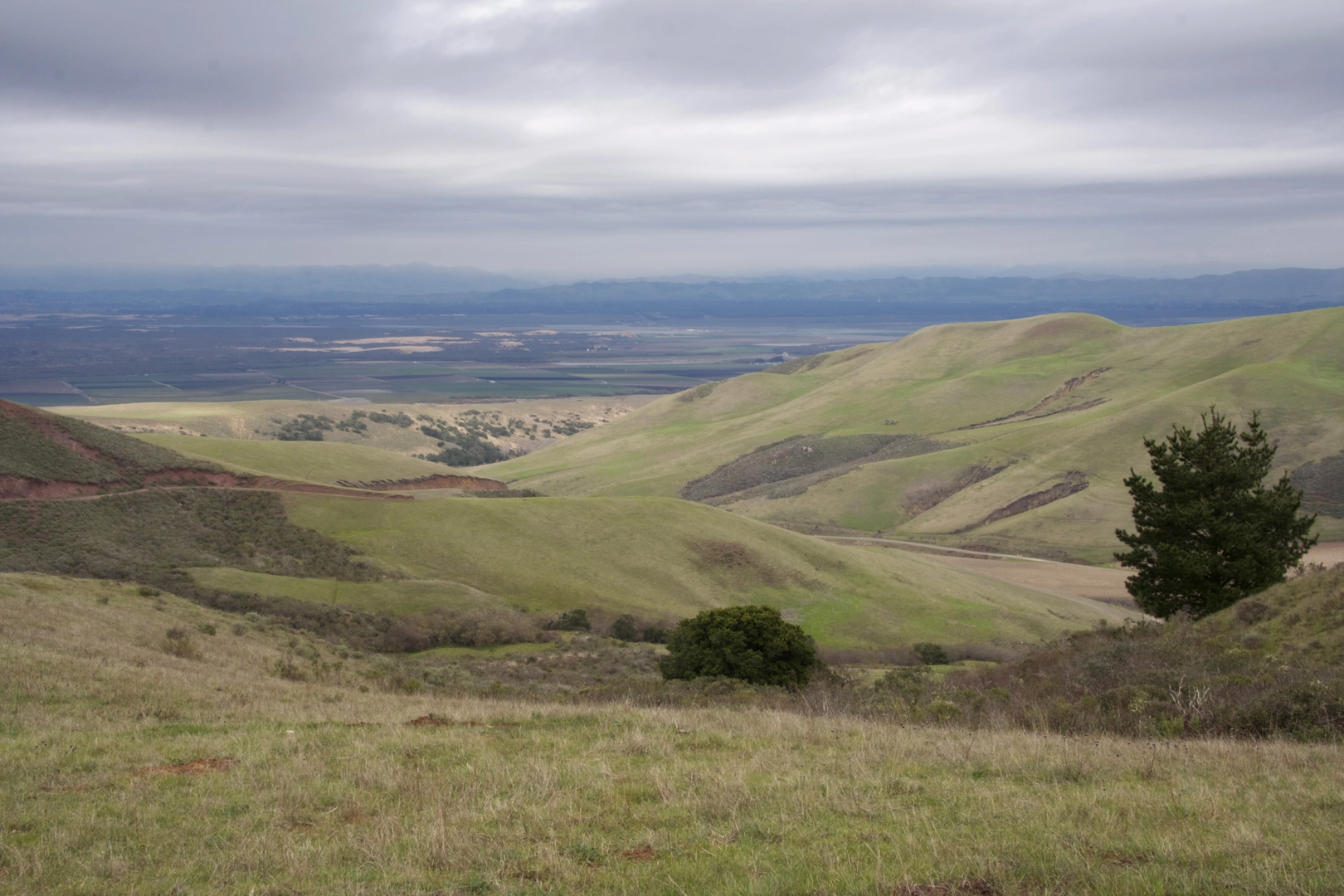 An image depicting the trail Point Sal State Beach and its surrounding area.