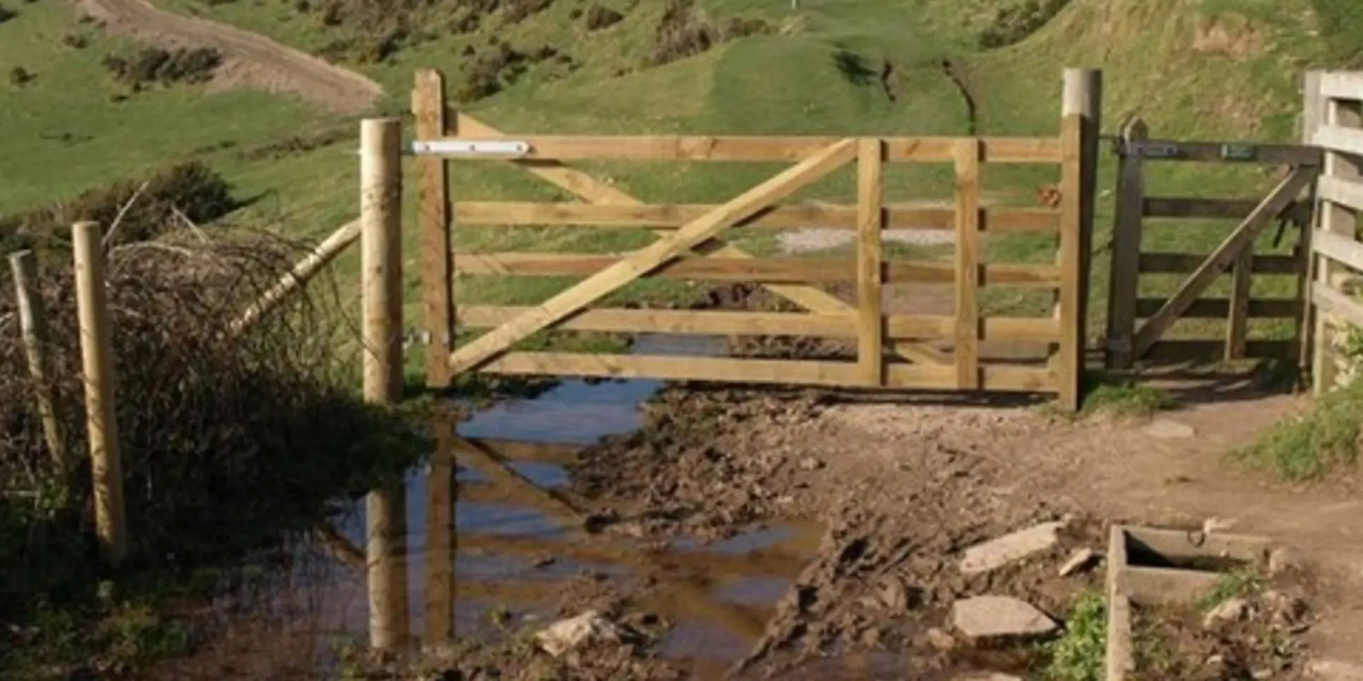 An image depicting the trail Stoke Point Short Walk and its surrounding area.