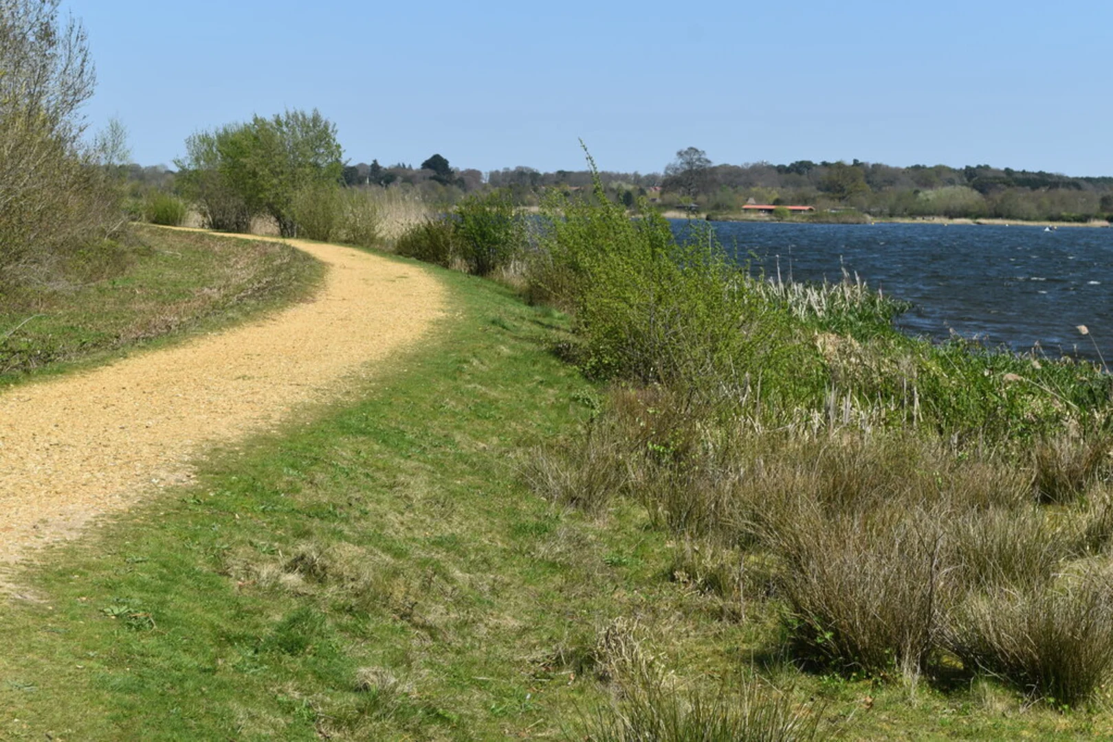 An image depicting the trail Longham Lakes Loop and its surrounding area.