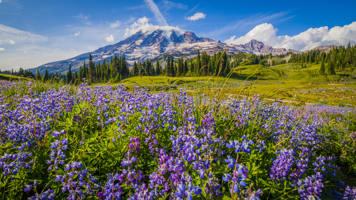 Clear West Peak Trail