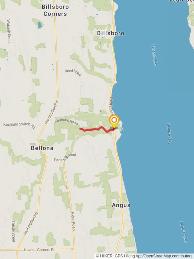 An image depicting the trail Kashong Creek Trail via West Lake Road and its surrounding area.