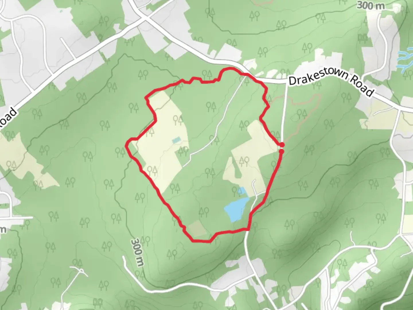 An image depicting the trail Red and Blue Loop Trail and its surrounding area.