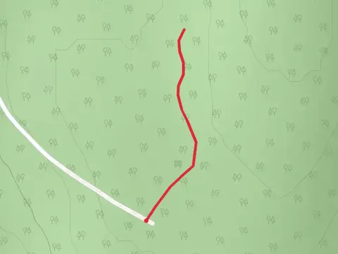 Webber Road access Trail