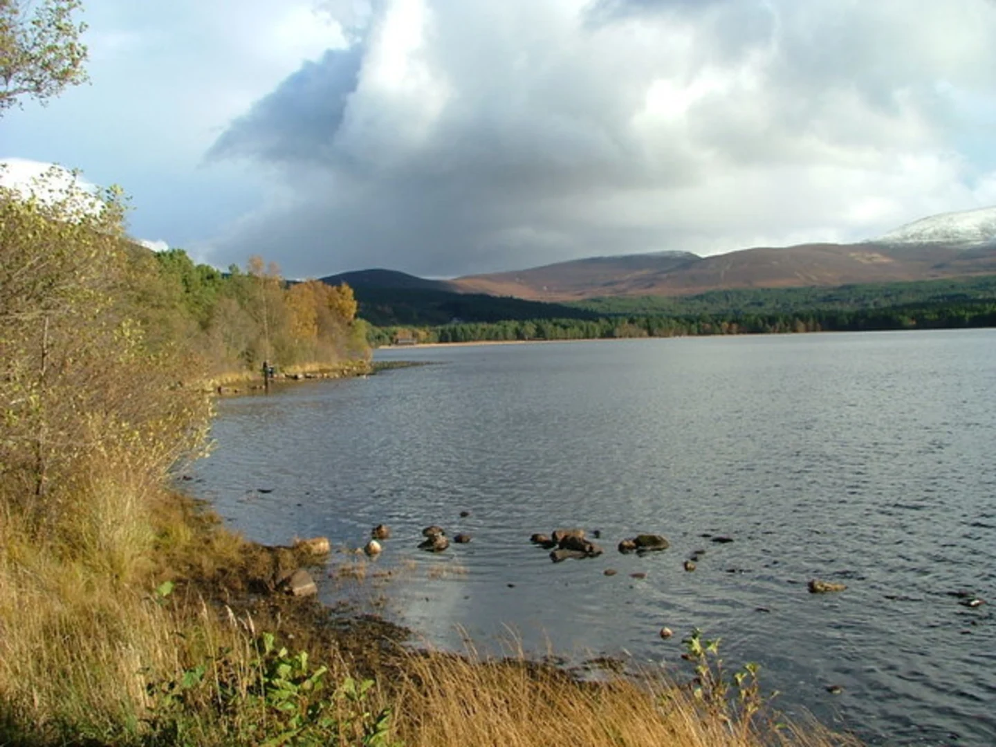 An image depicting the trail Strath Nethy and Saddle from Glenmore and its surrounding area.