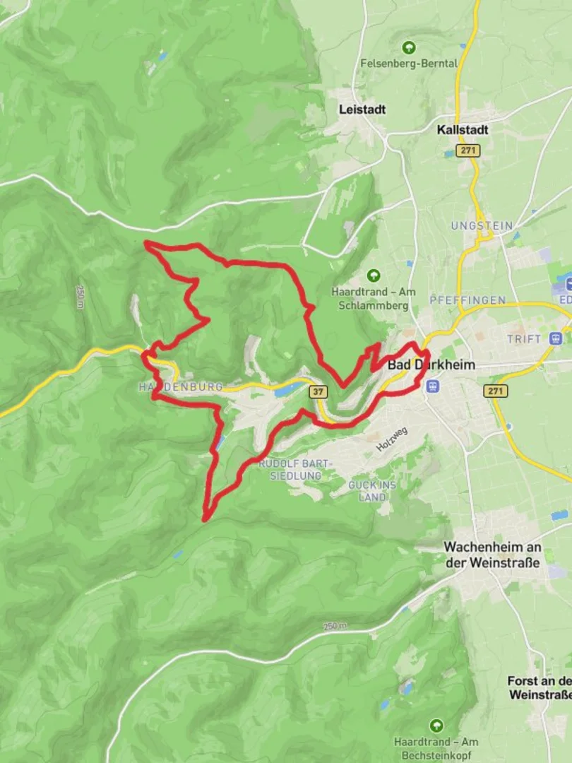 An image depicting the trail Bad Durkheim and Hardenburg Loop and its surrounding area.
